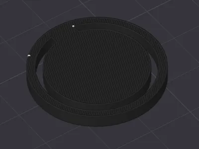 Check valve