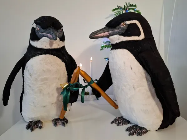 https://makerworld.bblmw.com/makerworld/model/US89c934317ba351/design/2025-12-22_2e02f6d6f40e48.jpg