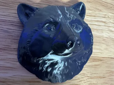 Raccoon