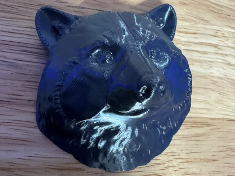 Raccoon
