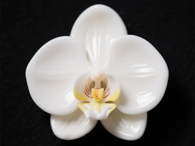 兰花
