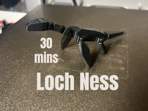 https://makerworld.bblmw.com/makerworld/model/US89d54b7bb54602/design/d9bd0bad9fe0d66c.jpg