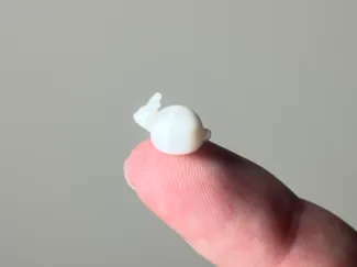 Mini Chubby Bunny