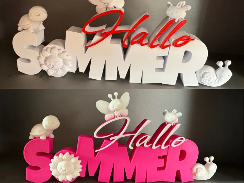 Hallo Sommer Schriftzug 