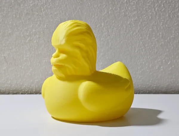 https://makerworld.bblmw.com/makerworld/model/US89dab89b4356e7/design/2024-05-22_df4c59aff15348.jpg