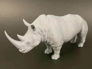 Rhino_JMLSilver