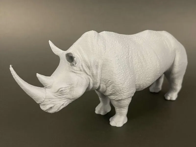 Rhino_JMLSilver