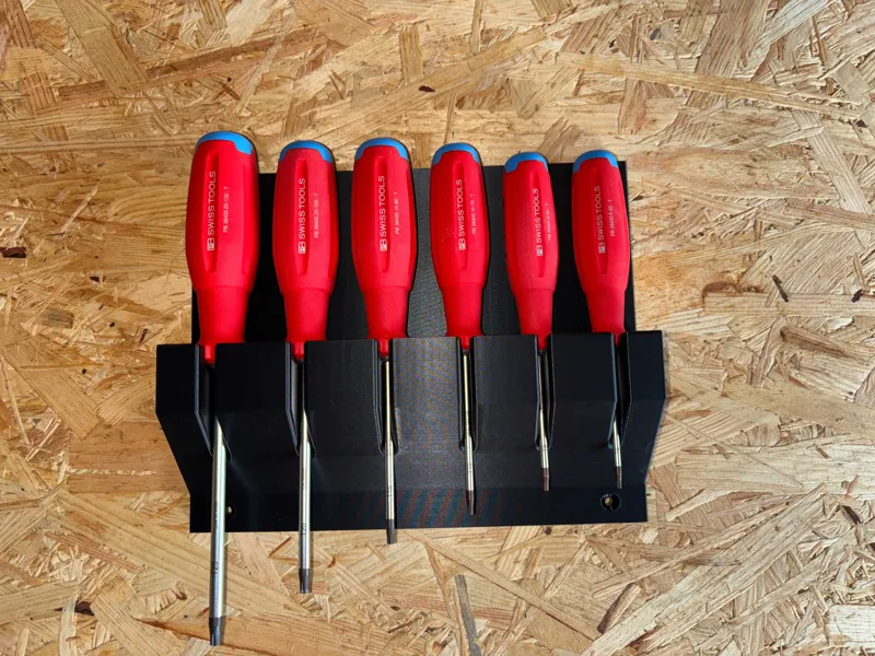 SwissGrip EVO Torx Halter PB Swiss