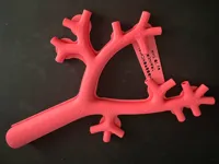 Modele d'arbre bronchique pour entrainement a la bronchoscopie — photo 1