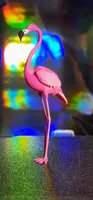 Flamant rose — photo 3