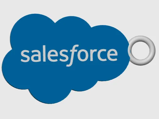 Salesforce keychain