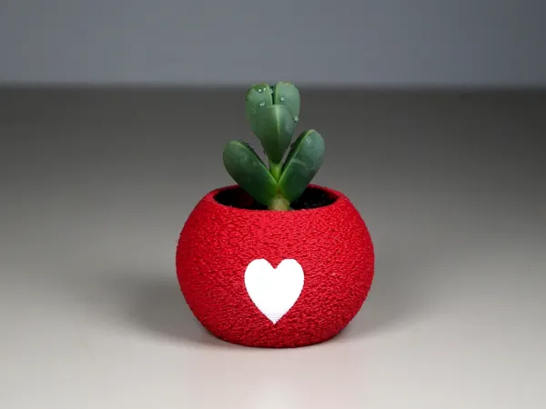 https://makerworld.bblmw.com/makerworld/model/US89ea70eee14d66/design/2025-01-10_650d8db873fb7.png