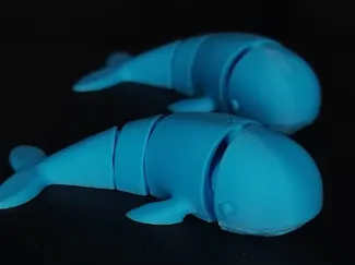 Cetáceo Articulado