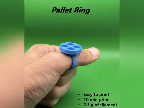 https://makerworld.bblmw.com/makerworld/model/US89f359c9997a32/design/2025-07-16_63a47a33b9634.jpg