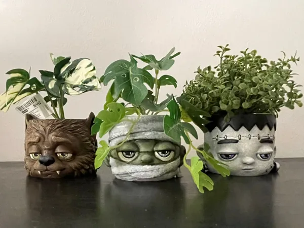 https://makerworld.bblmw.com/makerworld/model/US89f4191476e4d0/design/43a5ad859afb04f1.jpeg