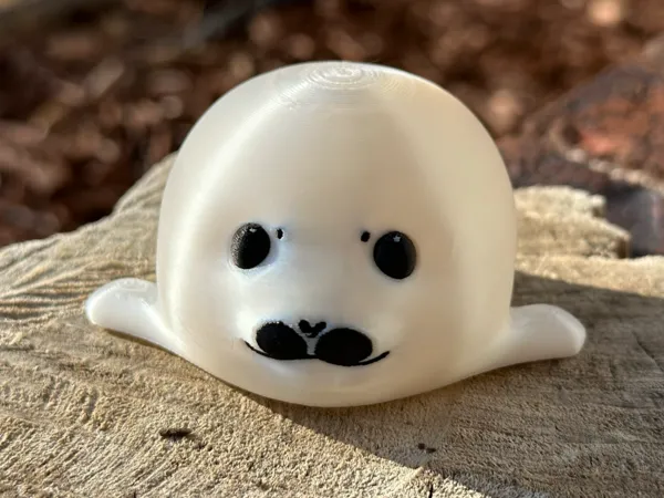 https://makerworld.bblmw.com/makerworld/model/US89f6b012c7a82f/design/2024-09-07_b6a163df13b85.jpeg