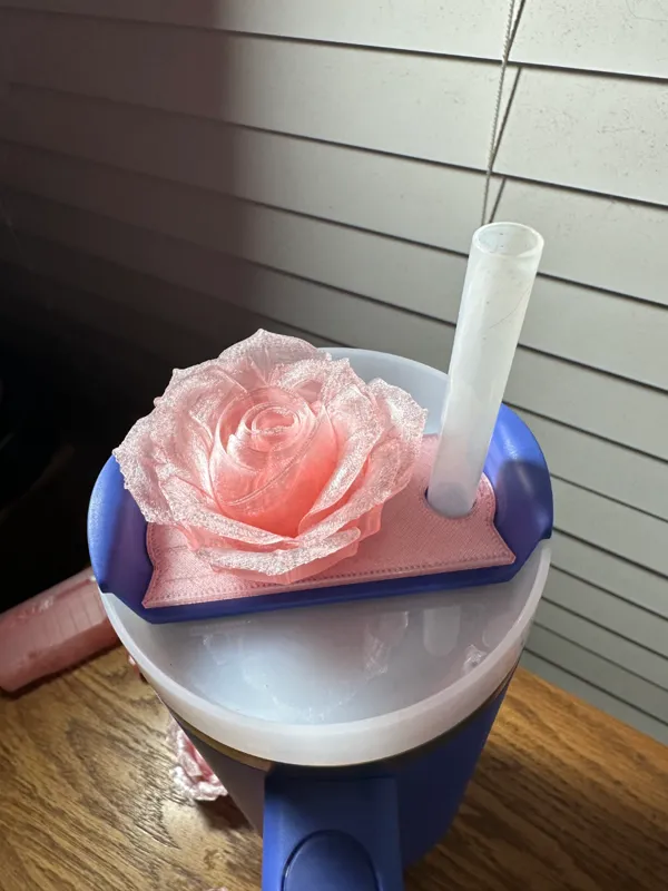 https://makerworld.bblmw.com/makerworld/model/US89f6b1153c6124/design/2024-01-18_30236c6f073df.png