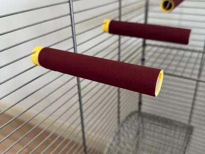 Sugar Glider Claw Stand