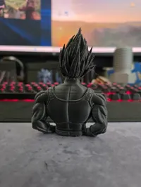 Buste de Vegeta — photo 3