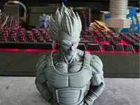 Buste de Vegeta — photo 1