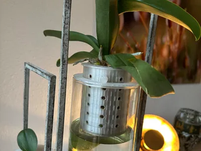 Optimized pot for phalaenopsis