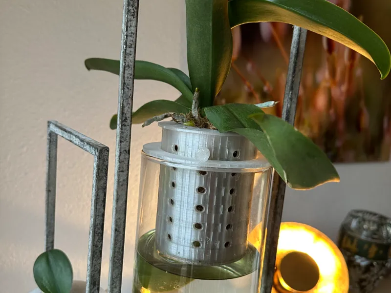 Pot optimisé pour phalaenopsis