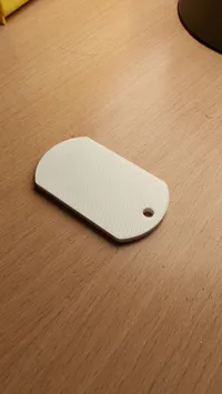 0.2mm layer, 2 walls, 20% infill
