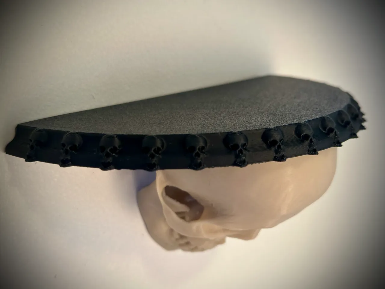 Human Skull Shelf view 2