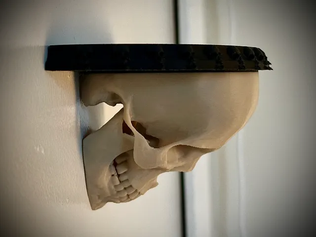 Human Skull Shelf