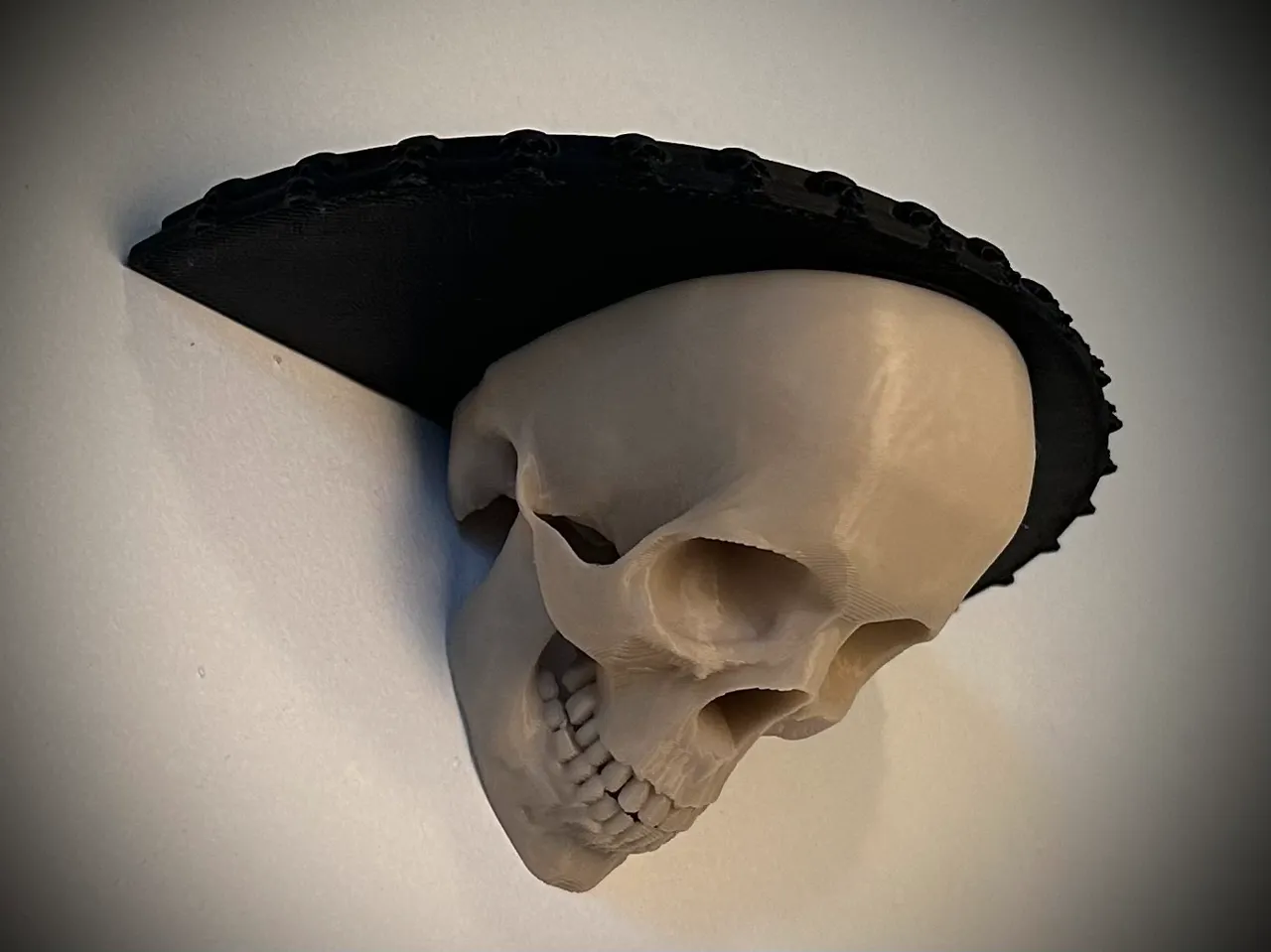 Human Skull Shelf view 3