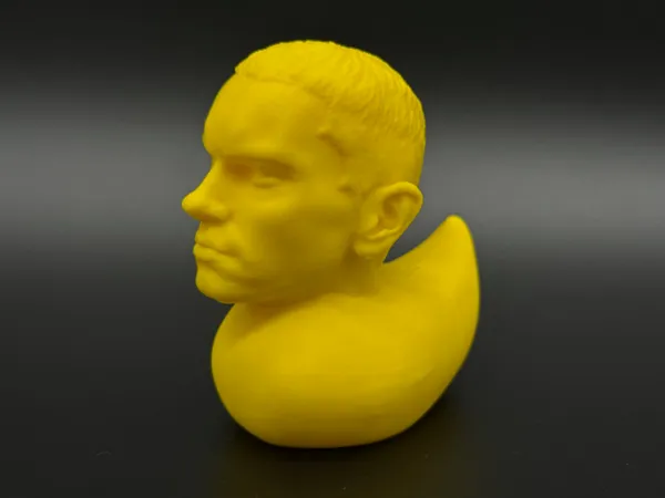 https://makerworld.bblmw.com/makerworld/model/US8a099f6ee17267/design/7cf7f74d4c93ad62.jpg