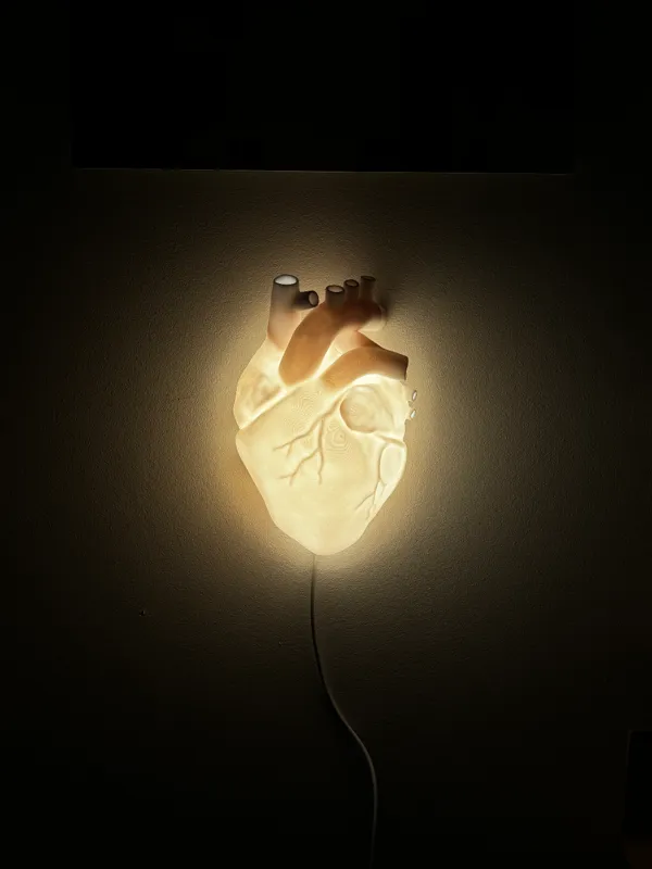 https://makerworld.bblmw.com/makerworld/model/US8a0bf53251ab7c/design/2024-02-14_275feb3bd43218.jpg