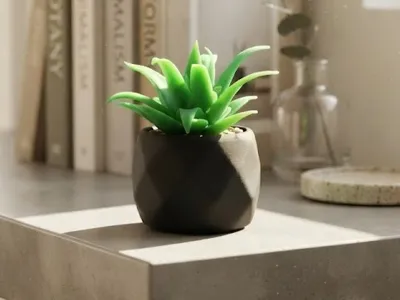 Succulent – Elegant Desktop Decoration