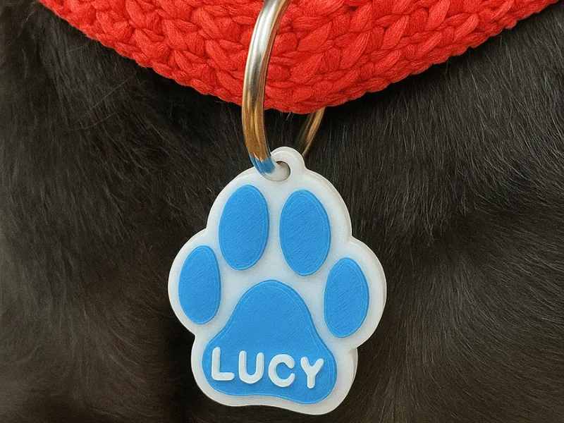 Cat/Dog/Pet nametag