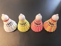 多色4+1