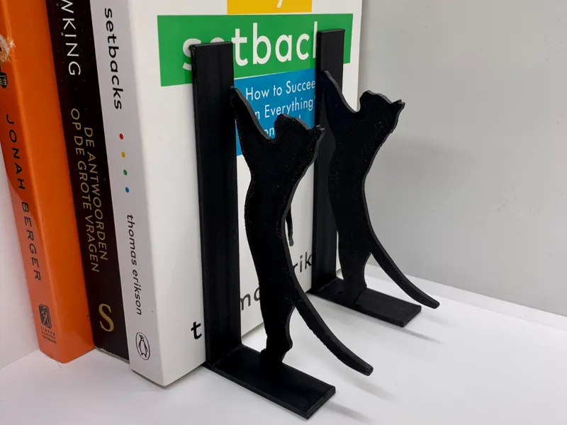 Bookstand Cat