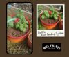 DeepRoot Watering Planter V1