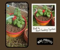 DeepRoot Watering Planter V1