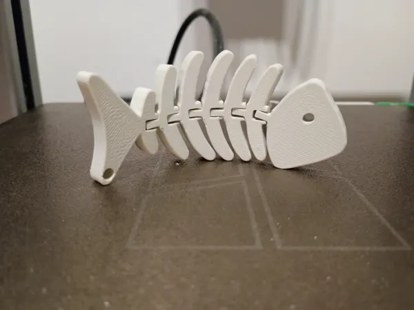 https://makerworld.bblmw.com/makerworld/model/US8a1b210aa2e822/design/2025-10-21_c6fda83805e998.jpg