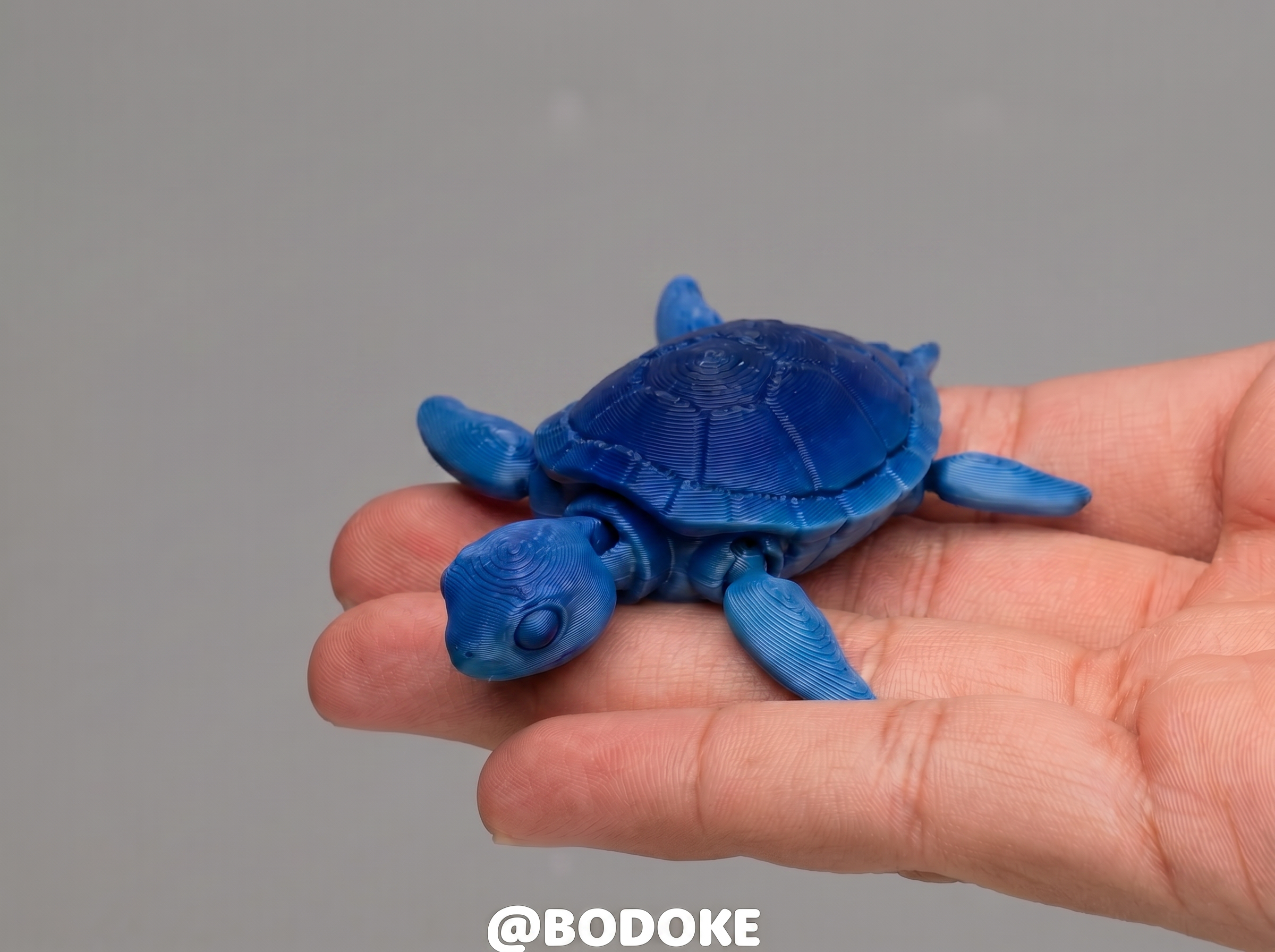 Miniatura 2 do modelo 3D Baby Turtle - Articulated