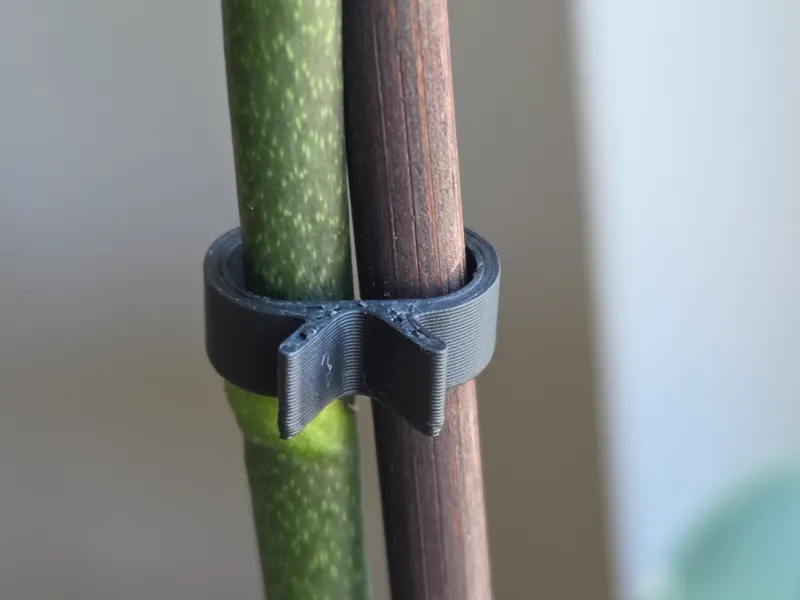 Orchid clip V2
