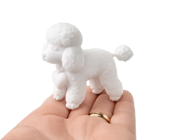 https://makerworld.bblmw.com/makerworld/model/US8a1c04b907693/design/f90644b15b8bd0b6.png