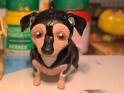 mixed-breed dog