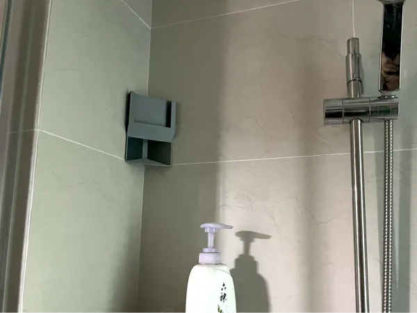 Support de téléphone pour la douche