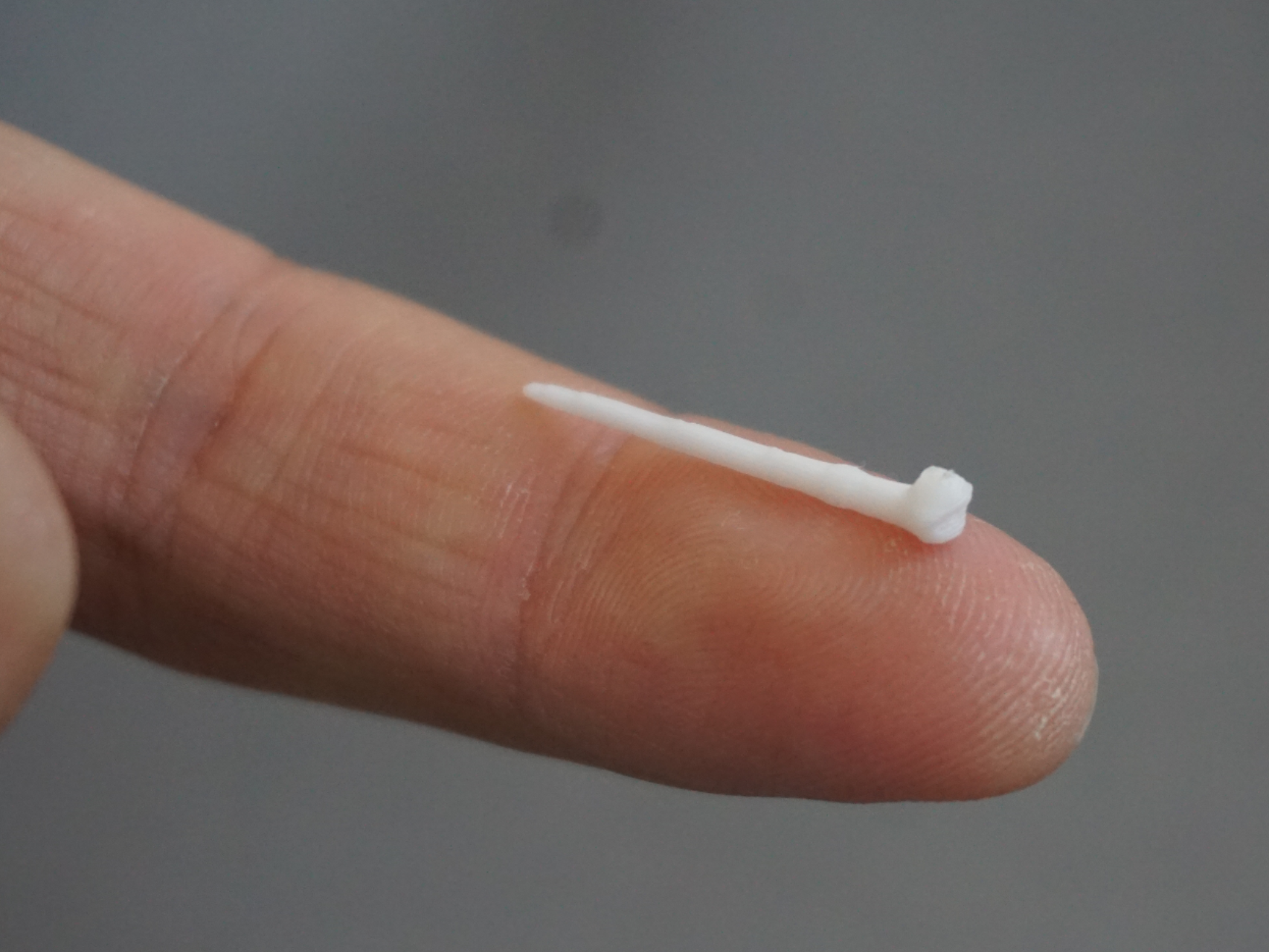Mini Earthworm (from 7min and different sizes)