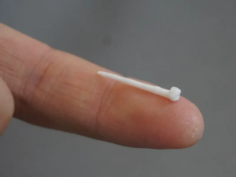 Mini Earthworm (from 7min and different sizes)
