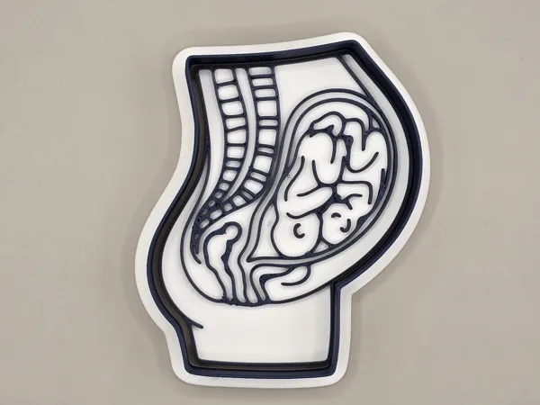 https://makerworld.bblmw.com/makerworld/model/US8a251be99bfd91/design/2026-01-01_771e74a5777e1.jpeg