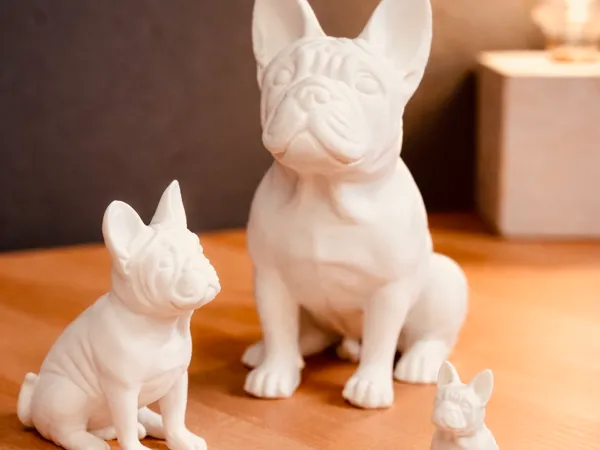 https://makerworld.bblmw.com/makerworld/model/US8a2c485cbb5a4d/design/7ad9bced2bc34132.jpg