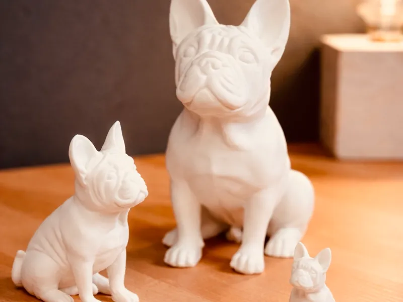 Französische Bulldogge / French Bulldog sitzend 