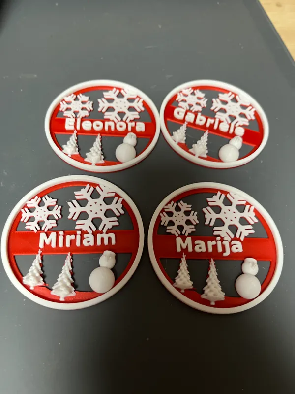 https://makerworld.bblmw.com/makerworld/model/US8a2eb2a3b1993c/design/2023-12-24_3e9d07d193513.jpg